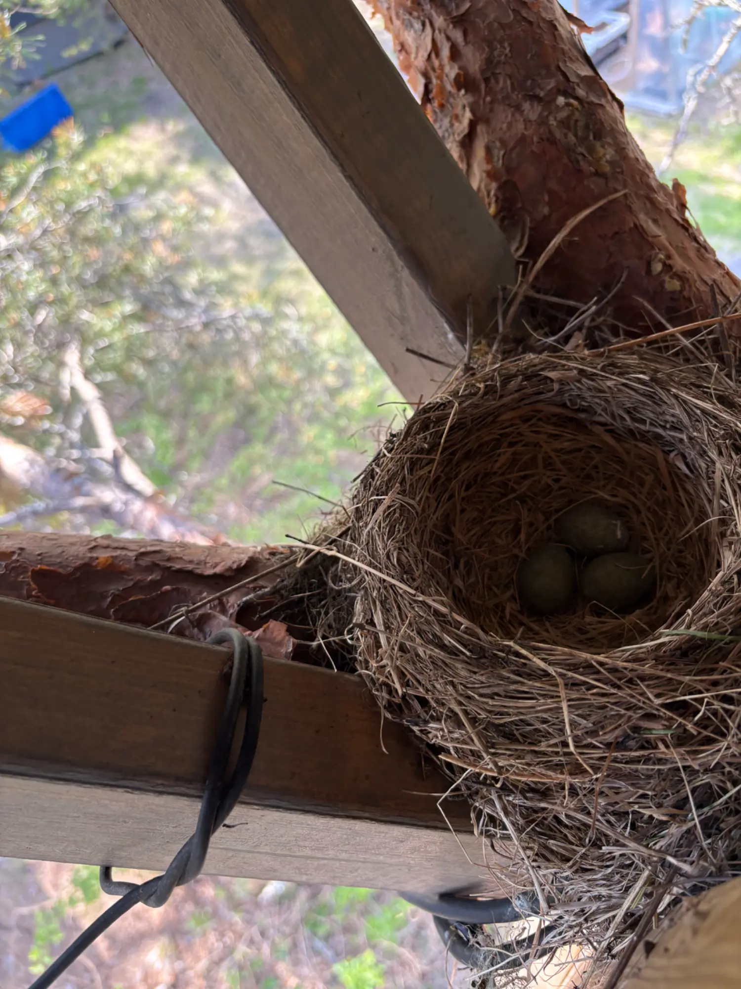 IMG_2188.webp
