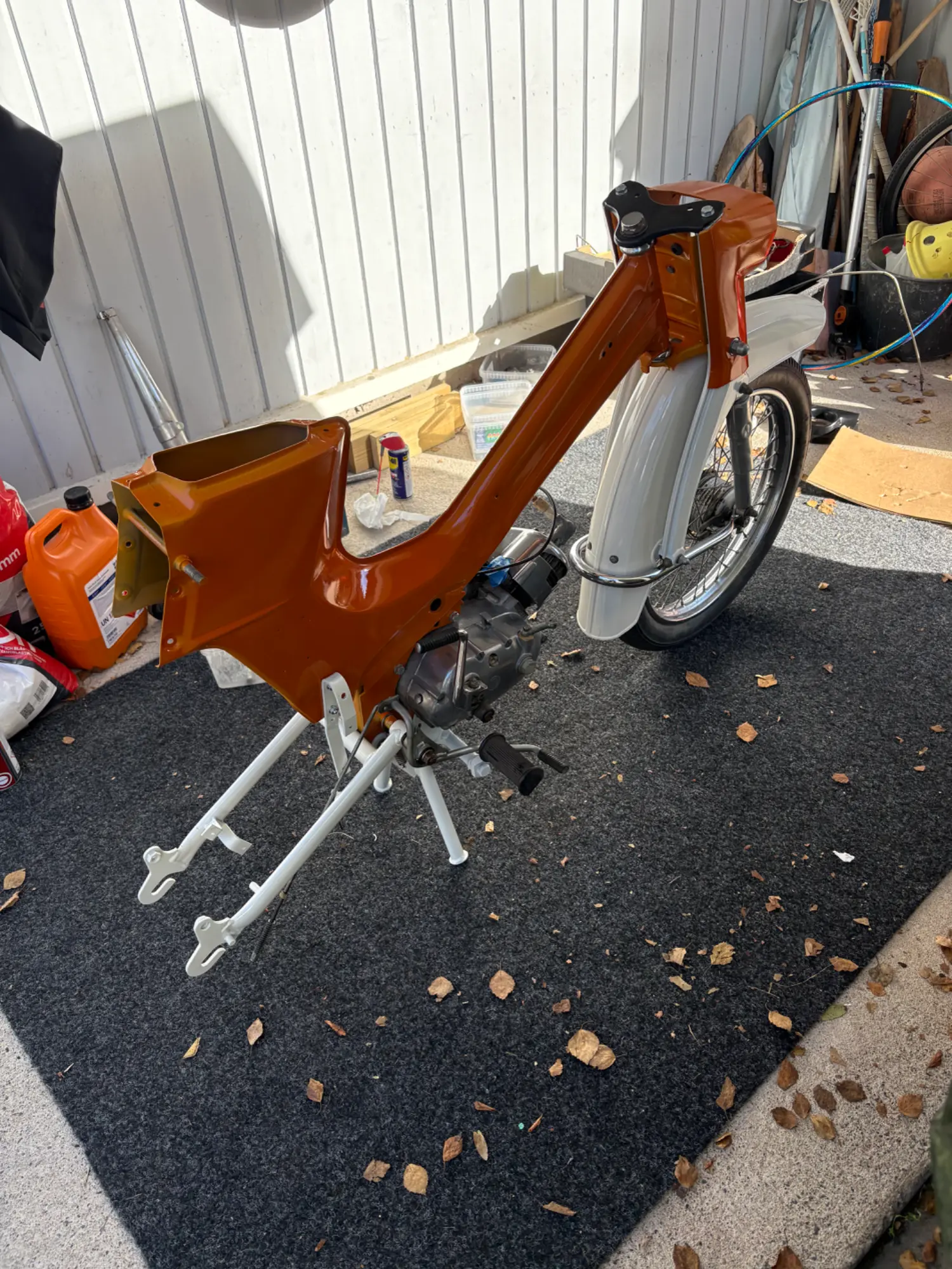 IMG_3314.webp
