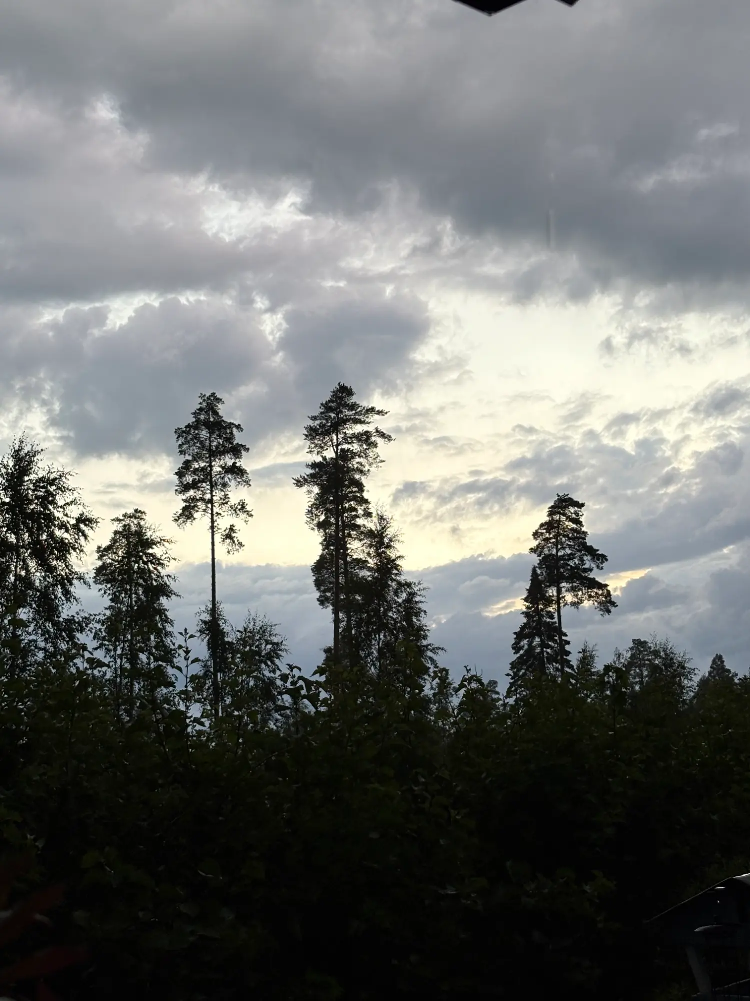 IMG_9072.webp