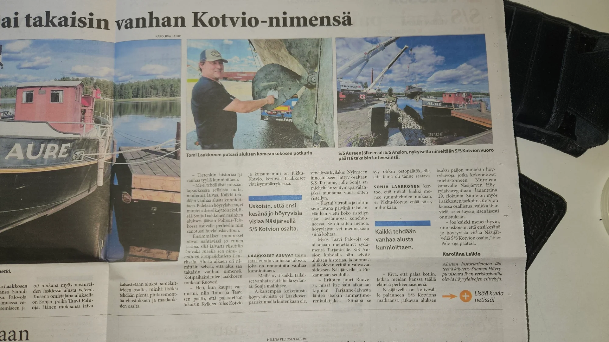 Kotvio2.webp