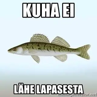 kuha-ei-lhe-lapasesta.webp