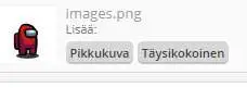 kuvakoot.webp