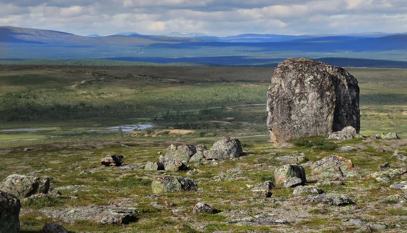 nököhammas.webp