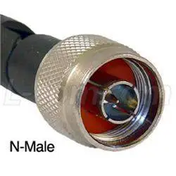 N male.webp