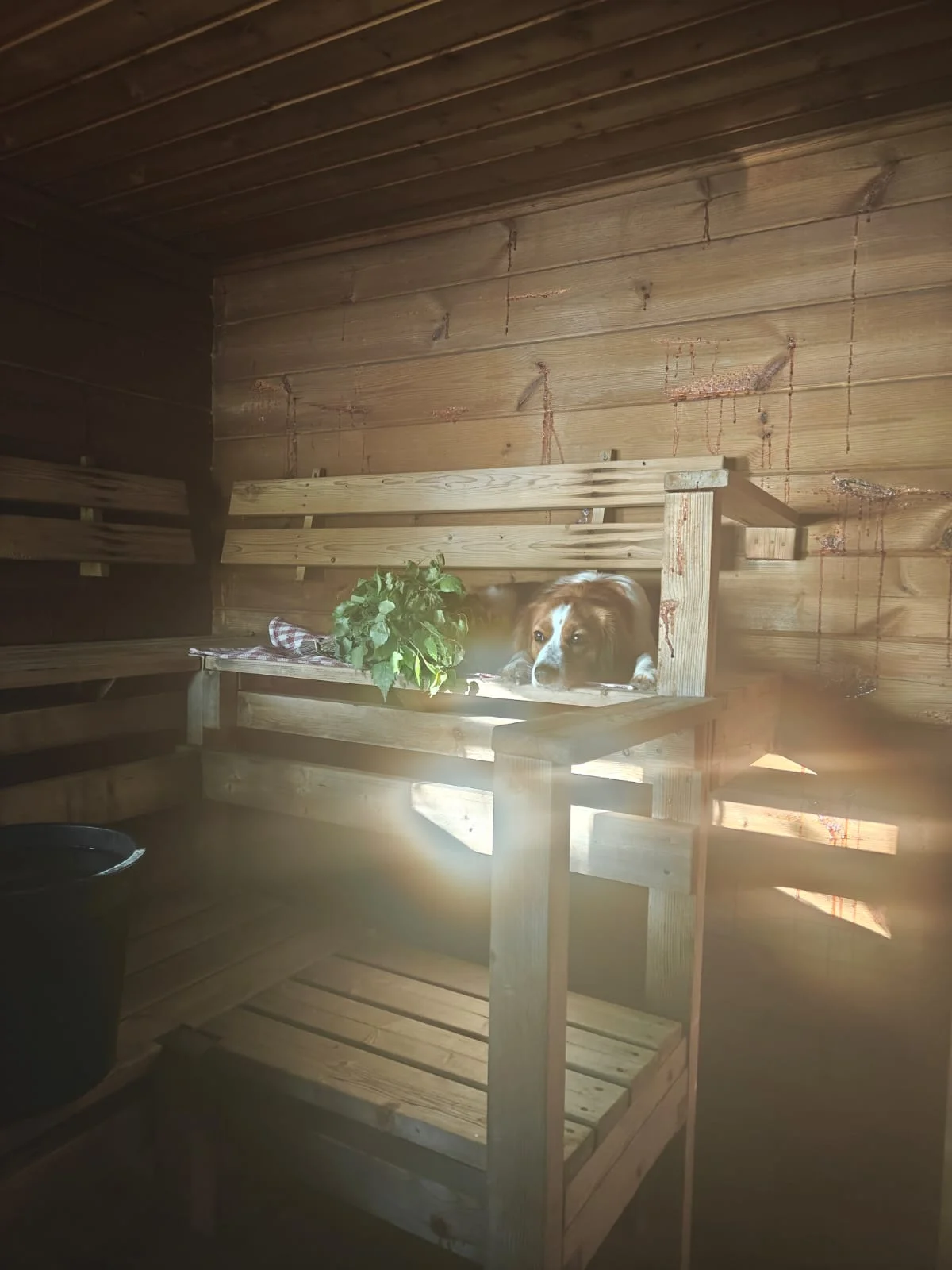 Ruska_19062026.webp
