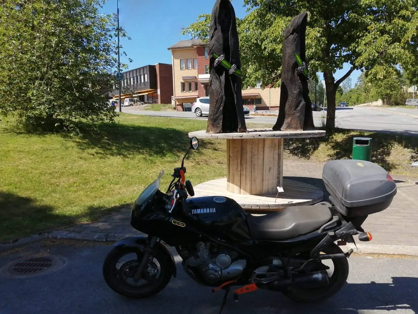 syväkurkku_.webp