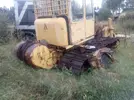 allis.webp