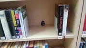 IMG-20240728-WA0002.webp IMG-20240728-WA0002.webp