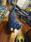 20260131_151742.webp