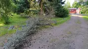 IMG-20260715-WA0017.webp IMG-20260715-WA0017.webp