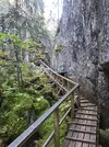 IMG_20260827_185219_716.webp IMG_20260827_185219_716.webp