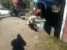 20170615_082344.webp