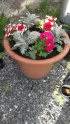 IMG-20170616-WA0011.webp