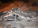 20180309_191400.webp