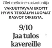 tekoälykasvot.webp