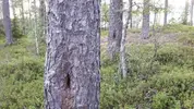 20190702_200446.webp