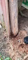 20210911_190021.webp