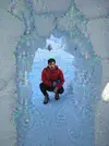 4779dream.webp 4779dream.webp