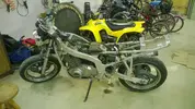 Suzuki2.webp