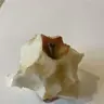 Hesekielo
