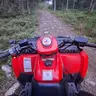 Naava