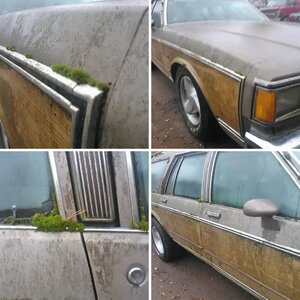 PONTIAC PARISIENNE STW -84