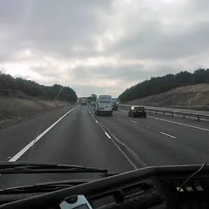 WP_003371