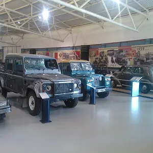 WP_003377