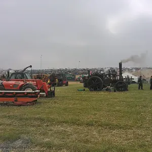 WP_003446