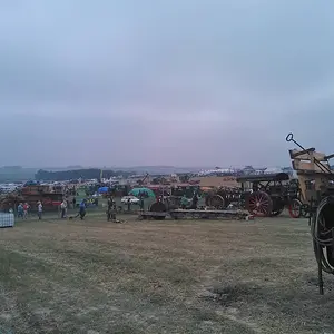 WP_003449