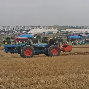 WP_003453