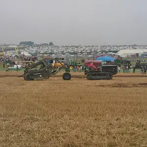 WP_003455