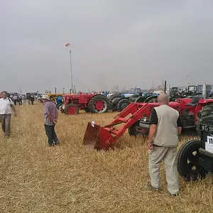 WP_003464