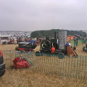 WP_003465