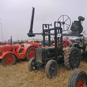WP_003470