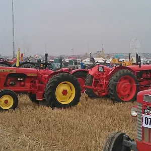 WP_003475