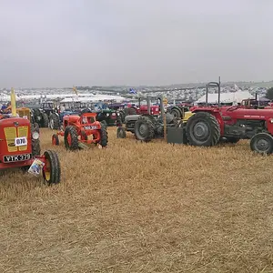 WP_003479