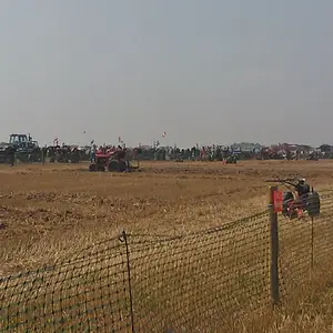 WP_003538