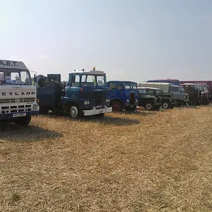 WP_003543