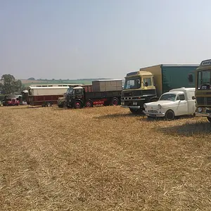WP_003544