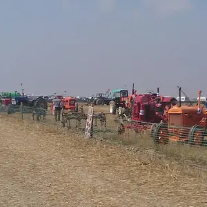 WP_003548