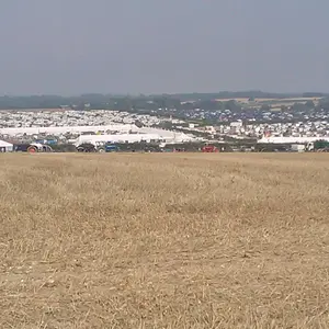 WP_003557
