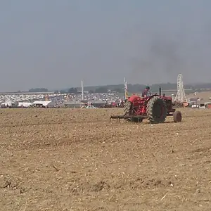 WP_003559