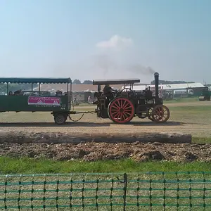 WP_003580