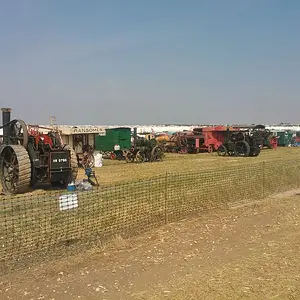 WP_003594