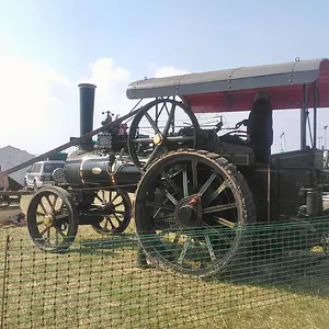WP_003599