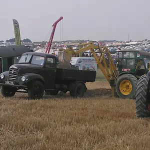 WP_003608