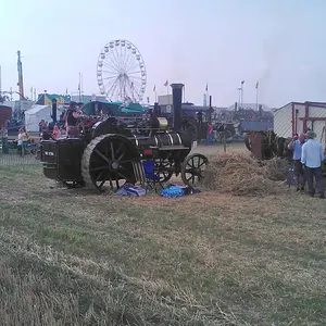 WP_003623