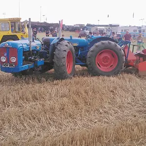 WP_003625