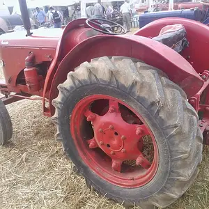 WP_003677
